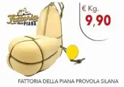 Diper Fattoria della piana provola silana offerta