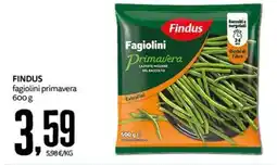 PRO7 Supermercati Findus fagiolini primavera offerta