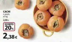 Coop Superstore Cachi offerta