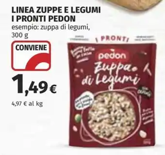 Zuppa di Legumi Pedon