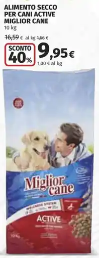 Coop Superstore Alimento secco per cani active Miglior cane offerta