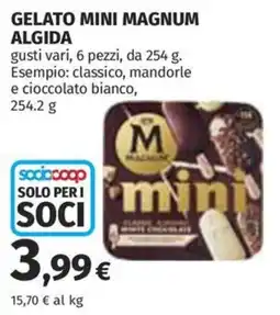 Coop Superstore Gelato mini Magnum Algida offerta