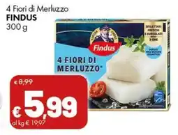 Supermercati Vinci 4 Fiori di Merluzzo Findus offerta