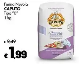 Supermercati Vinci Farina Nuvola Caputo offerta