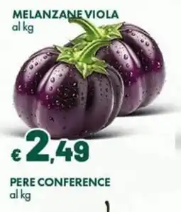 Supermercati Vinci Melanzane viola offerta
