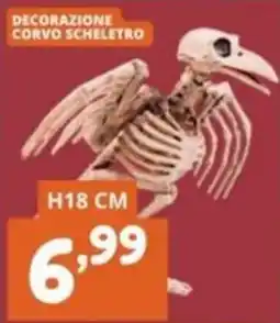 Cossuto Decorazione corvo scheletro offerta