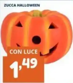 Cossuto Zucca halloween offerta