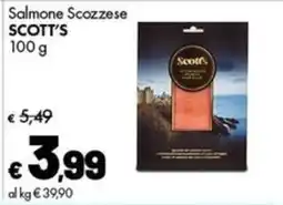 Supermercati Vinci Salmone Scozzese Scott's offerta