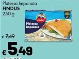 Supermercati Vinci Platessa Impanata Findus offerta