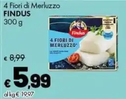 Supermercati Vinci 4 Fiori di Merluzzo Findus offerta