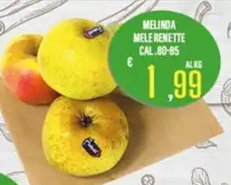 Supermercati EffePiù Melinda mele renette offerta