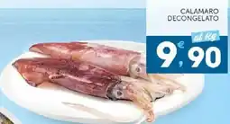 Sisa Calamaro decongelato offerta