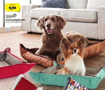 ALDI Romeo Cuccia pieghevole offerta