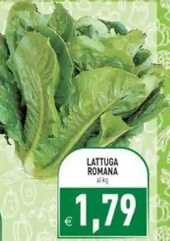 Lattuga Romana