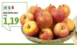 Madis Mele Royal Gala offerta