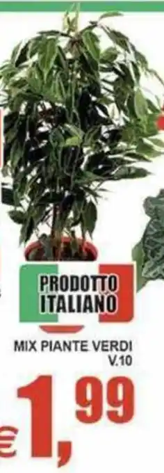 Mix piante verdi