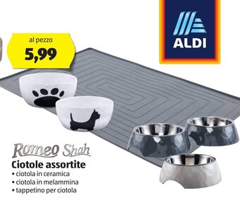 Romeo Shah Ciotole assortite