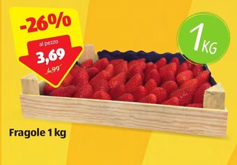 ALDI Fragole 1kg offerta
