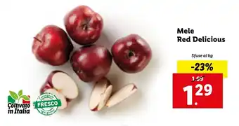 Lidl Mele Red Delicious offerta