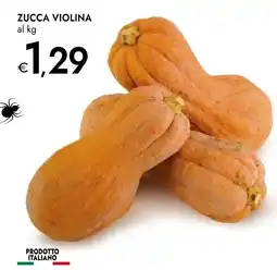 Bennet Zucca violina offerta