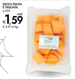 Bennet Zucca mioarto offerta