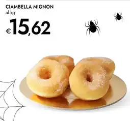 Bennet Ciambella mignon offerta