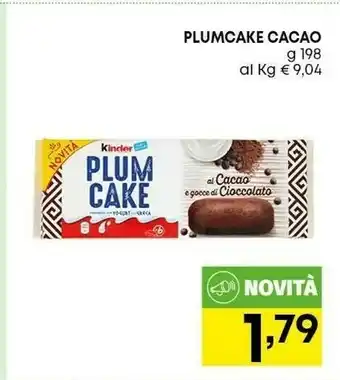 Panorama Plum cake offerta