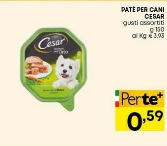 Panorama Cibo per cani offerta