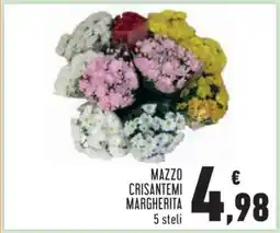 Conad Mazzo Crisantemi Margherita offerta