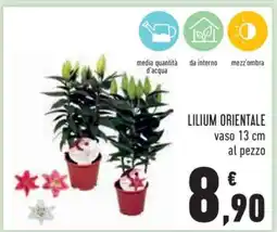 Conad Lilium Orientale offerta
