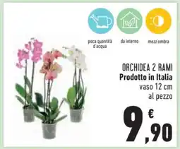 Conad Orchidea 2 Rami offerta