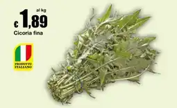 Sì con te Supermercati Cicoria fina offerta