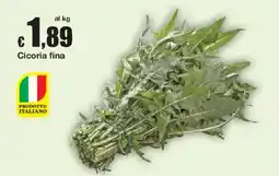 Sì con te Cicoria fine offerta