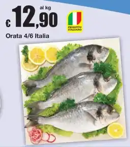 Sì con te Orata 4/6 Italia offerta
