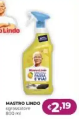 La Saponeria Mastro Lindo sgrassatore offerta