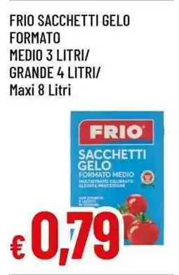 Famila Superstore Frio sacchetti gelo formato medio offerta
