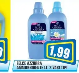 Punto Vigas Felce Azzurra ammorbidente offerta