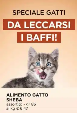 Alì Supermercati Alimento gatto Sheba offerta