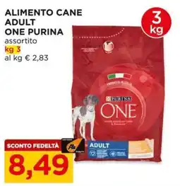Alì Supermercati Alimento cane adulto assortito Purina One offerta