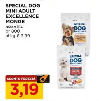 Special Dog Excellence Monge