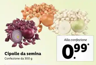 Lidl Cipolle da semina 300g offerta
