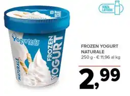 Todis Yogurteria frozen yogurt naturale offerta
