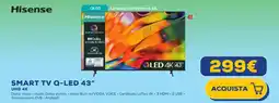 Euronics Hisense SMART TV Q-LED 43" offerta