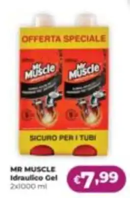 La Saponeria Mr Muscle Idraulico Gel offerta