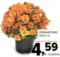 Todis Crisantemo Vaso 16 offerta