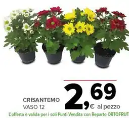 Todis Crisantemo offerta