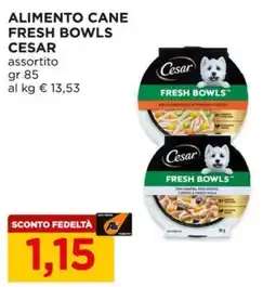 Alì Supermercati Alimento cane fresh bowls cesar offerta