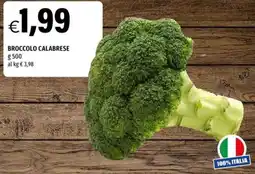 Hurrà Broccolo Calabrese offerta