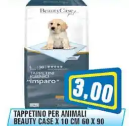 Punto Vigas Birra Ceres offerta