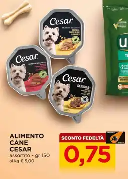 Alì Supermercati Alimento cane Cesar offerta